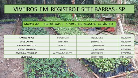 Registro e Sete Barras